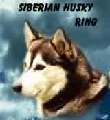 Siberian Husky Ring